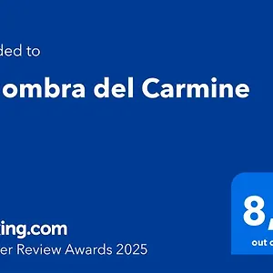https://allombra-del-carmine.hotelinveneto.com